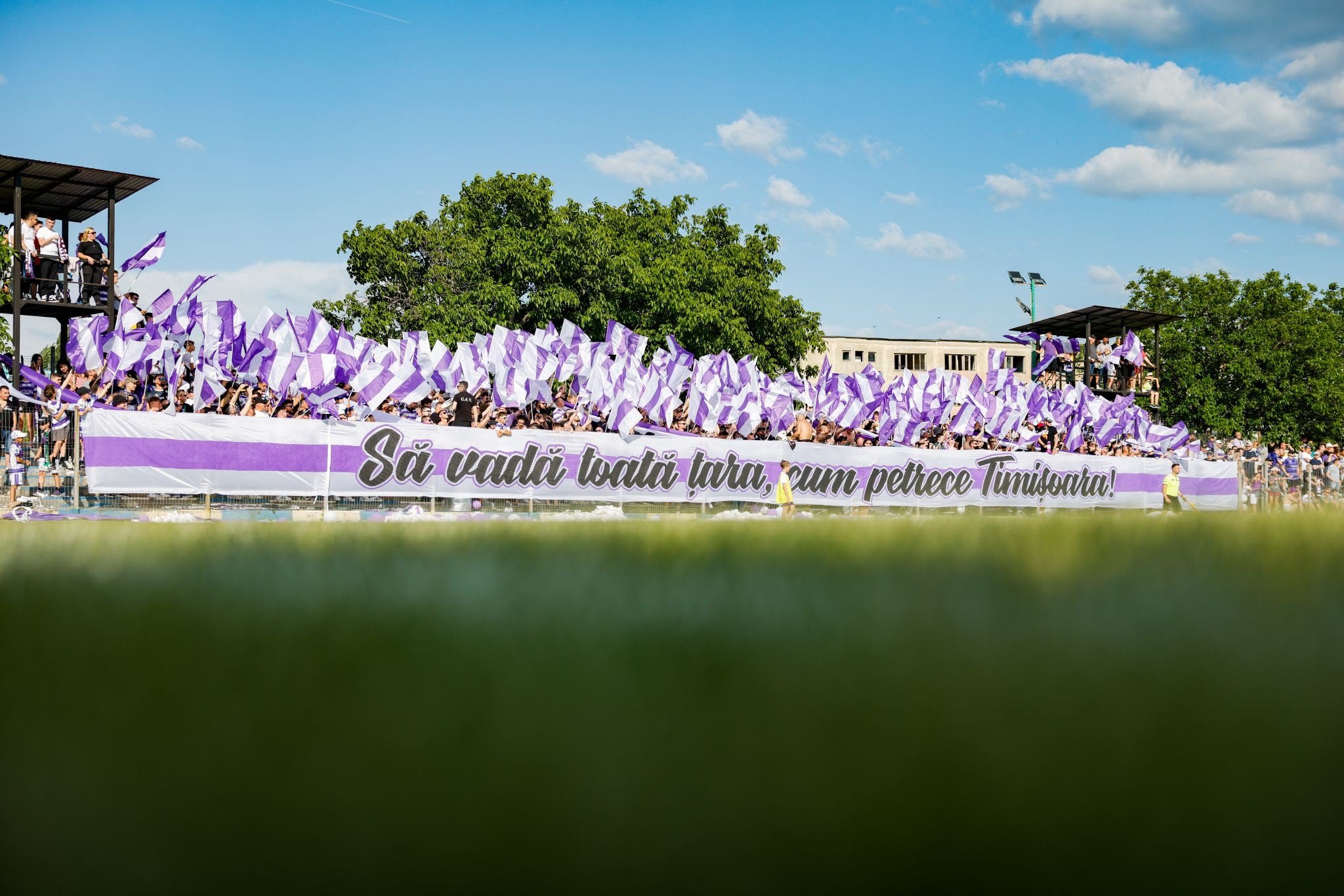 Poli timisoara