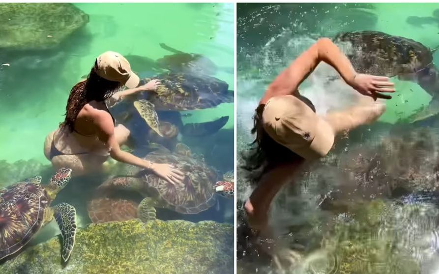 O influenceriță a fost mușcată de o țestoasă marină în vacanța din Zanzibar. „Mi-au spus că sunt inofensive”