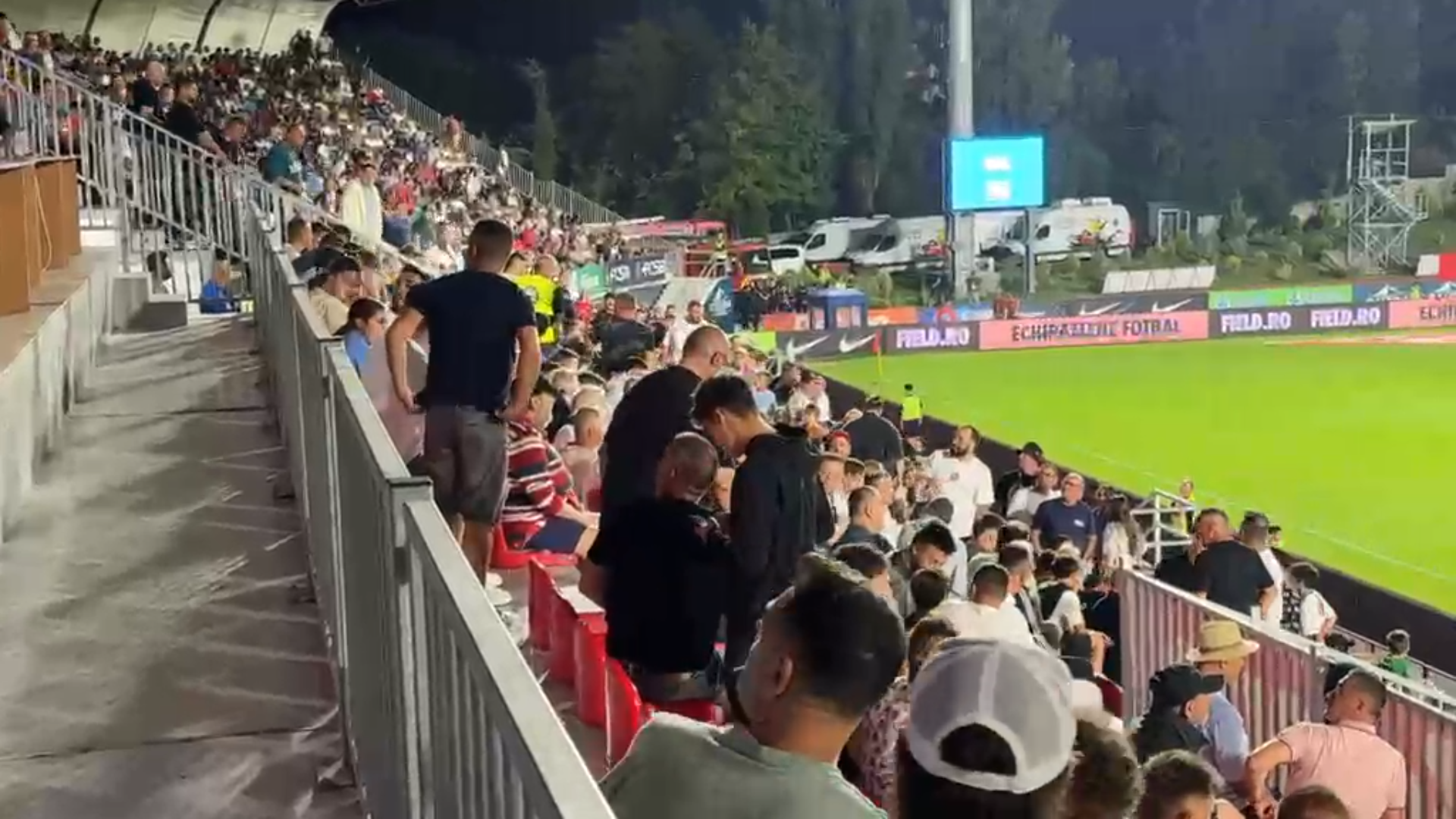 Fani fcsb 22