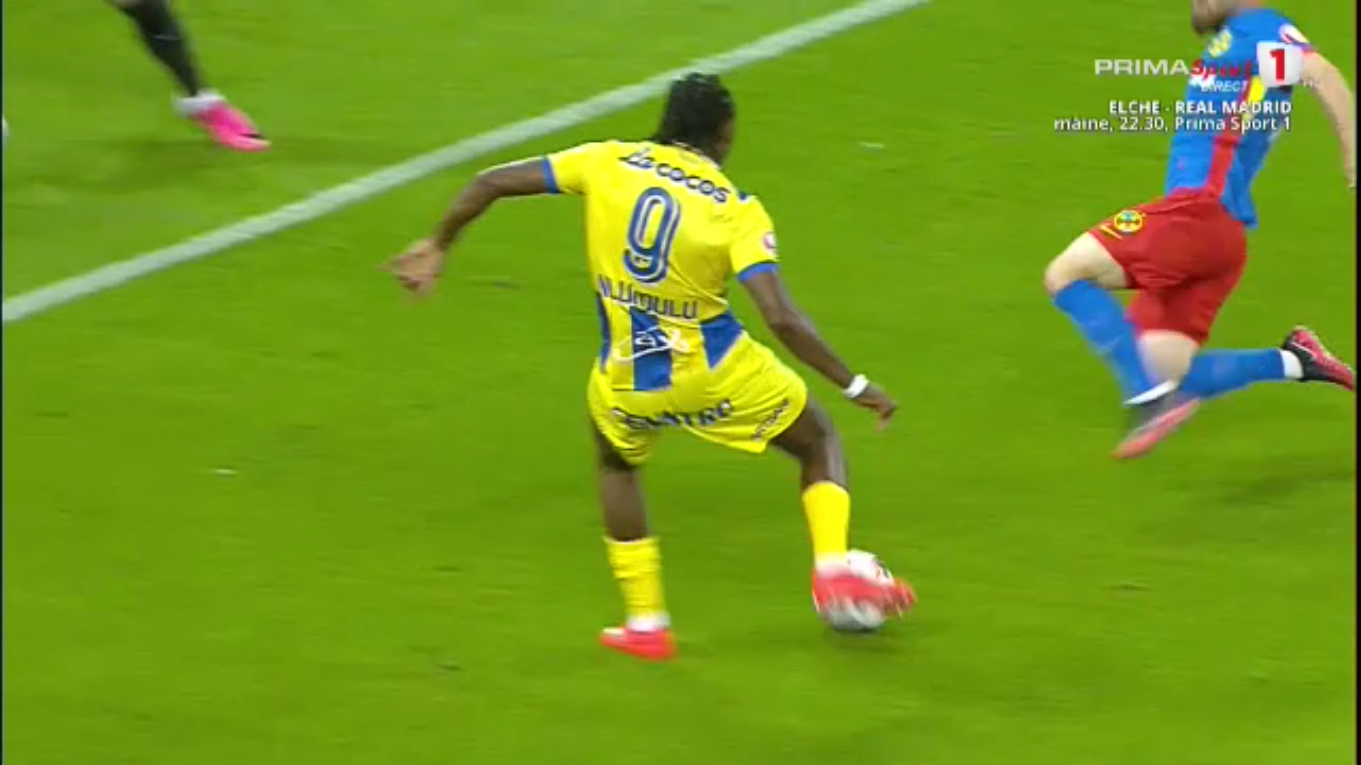 Gol petrolul 29