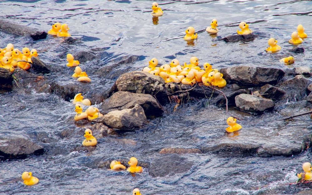 Un oceanograf a urmărit traseul a 28.800 de jucării de plastic pierdute în Pacific, în 1992. Unde au ajuns după ani de zile