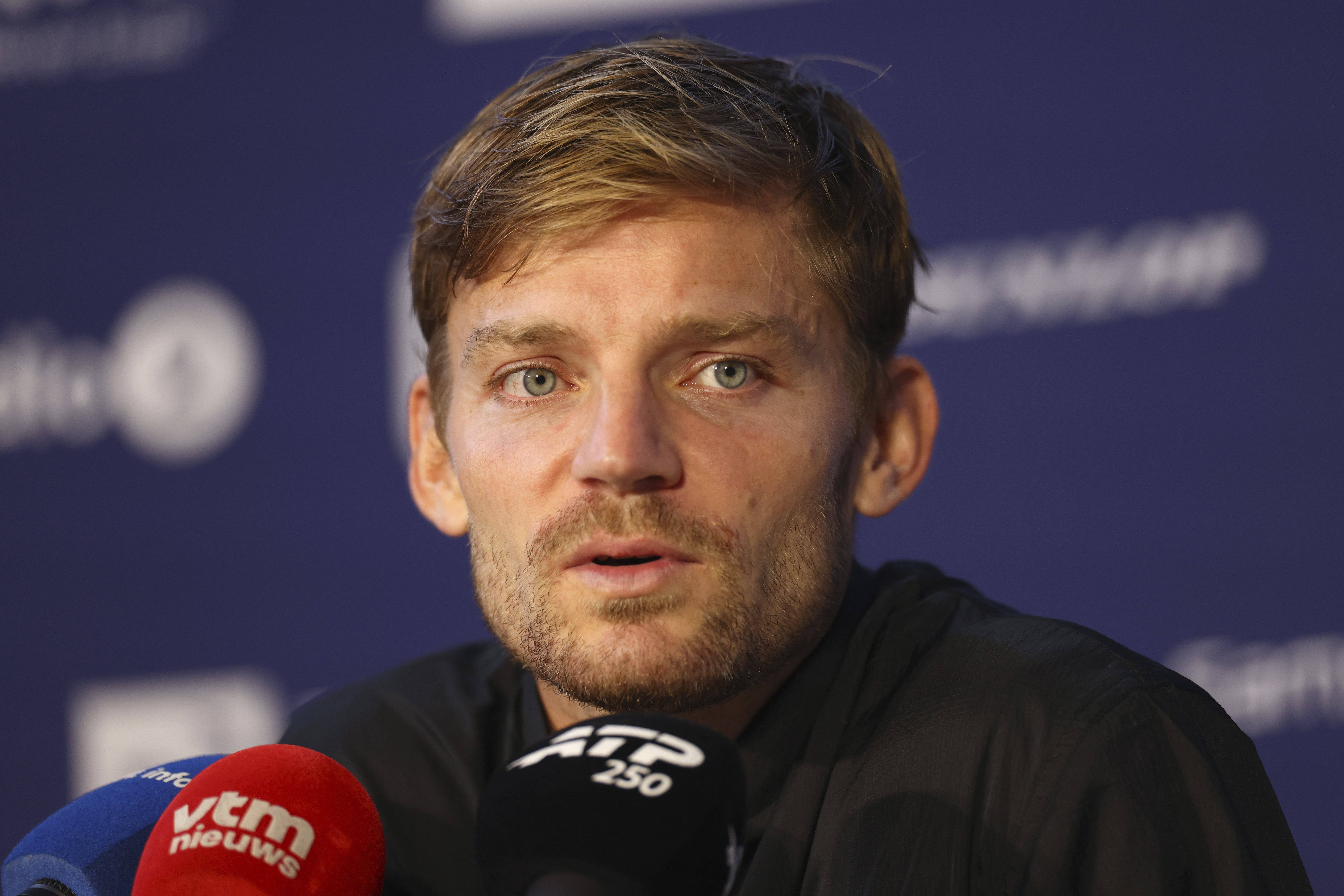 David goffin 13